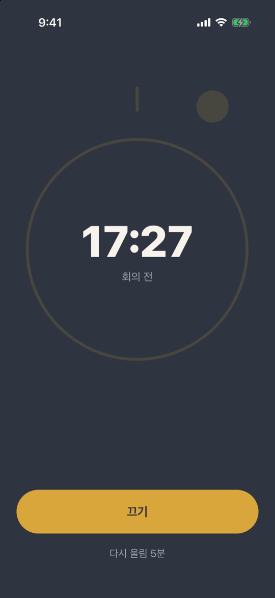 False Alarm ringing screen